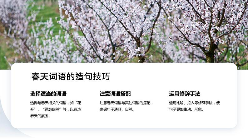 2024年小学《词语运用和句子结构之关于春天的词语:如春回大地、万物复苏、桃红柳绿等。》专项复习,统编版语文六年级下册课件PPT第8页