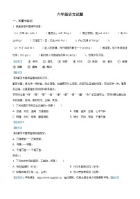 2023-2024學(xué)年江蘇省徐州市豐縣部編版六年級(jí)下冊(cè)期中考試語(yǔ)文試卷
