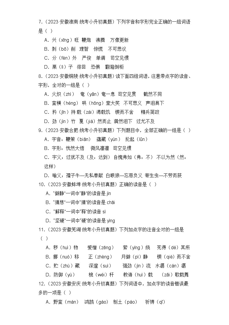 专题01 字音字形(安徽专版)(含答案解析)第2页