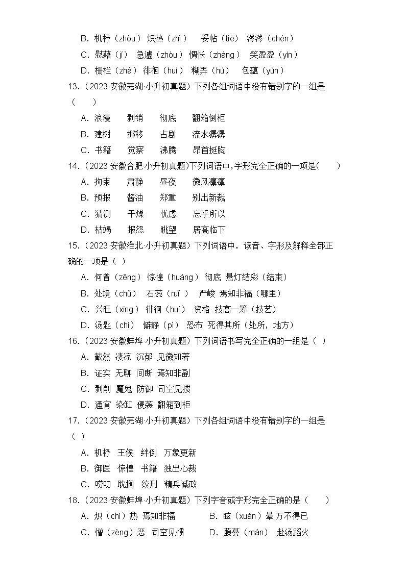 专题01 字音字形(安徽专版)(含答案解析)第3页