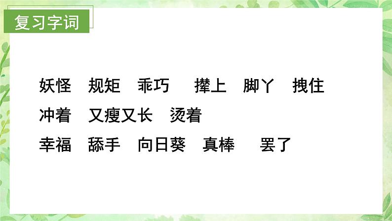 26.宝葫芦的秘密(节选) 第二课时(教学课件)(统编版)03