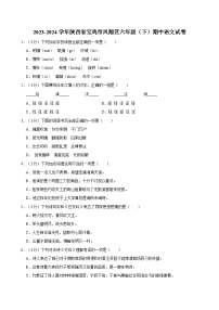 陕西省宝鸡市凤翔区2023-2024学年六年级下学期期中语文试卷