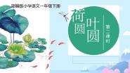 人教部编版荷叶圆圆课文ppt课件