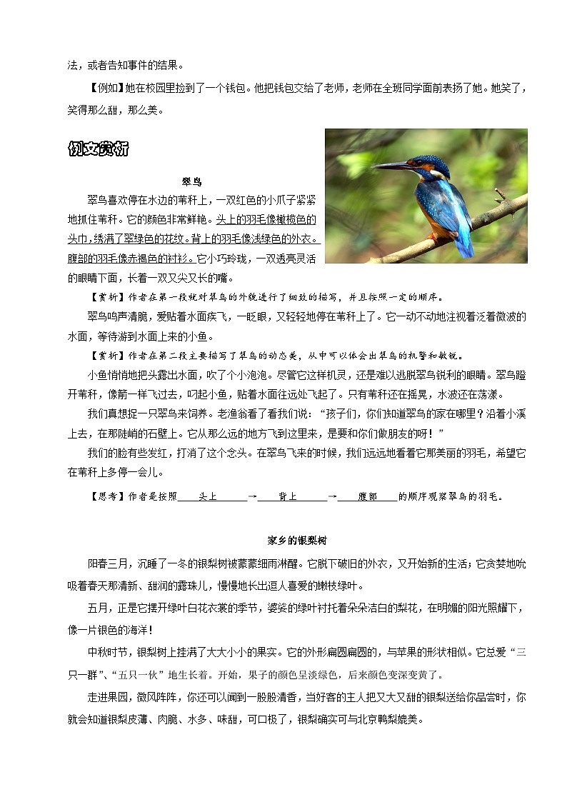 【作文精讲】小升初语文作文专题08 写作顺序--2024年小升初语文作文复习策略第3页