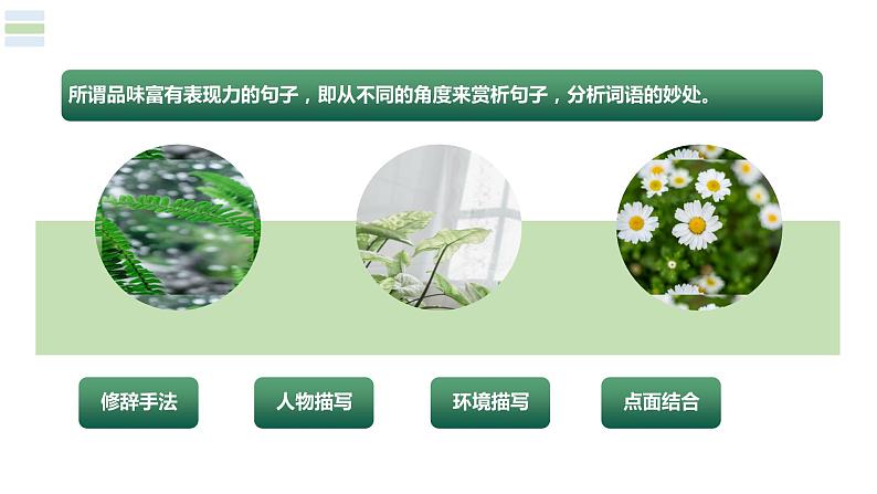专题07 品味富有表现力的句子(课件)2024年小升初语文复习暑假衔接讲练测(统编版)第6页