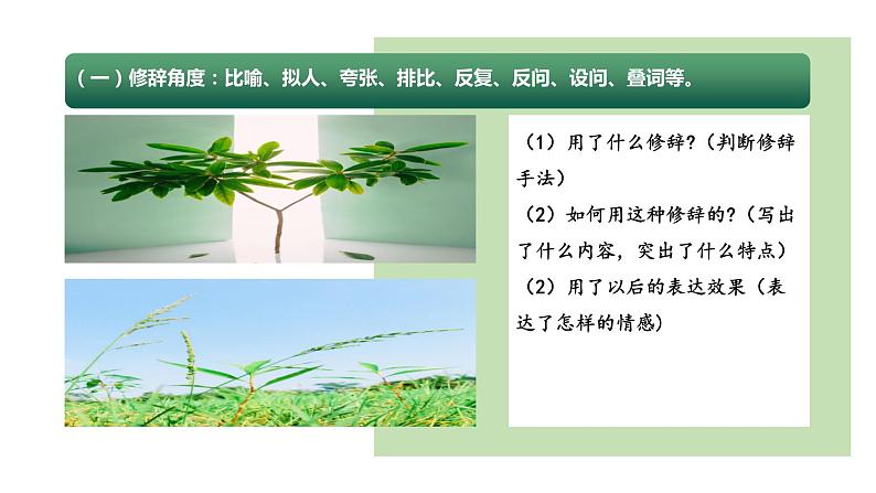 专题07 品味富有表现力的句子(课件)2024年小升初语文复习暑假衔接讲练测(统编版)第7页
