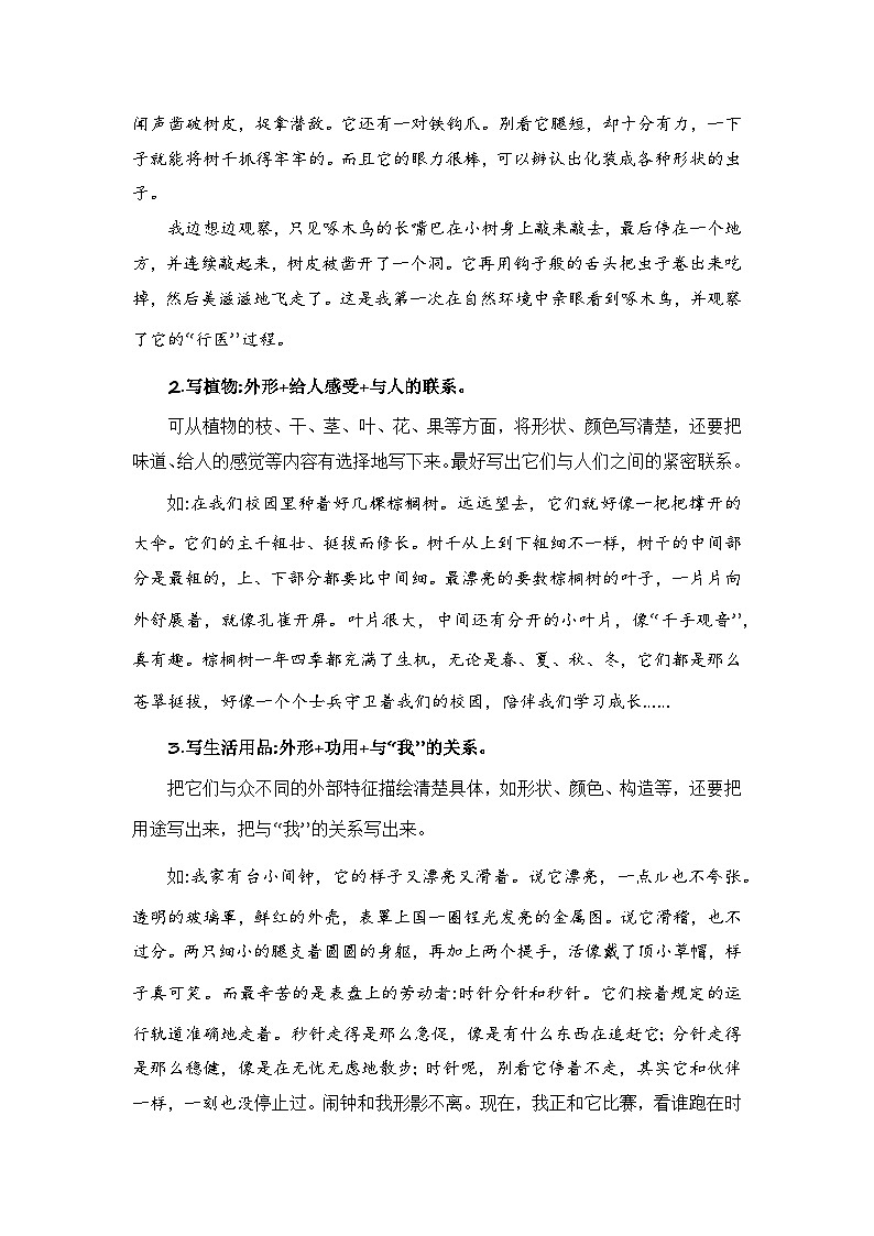 专题04 如何写好 状物作文(讲义)2024年小升初语文复习即暑假衔接专项讲练测(统编版)第2页
