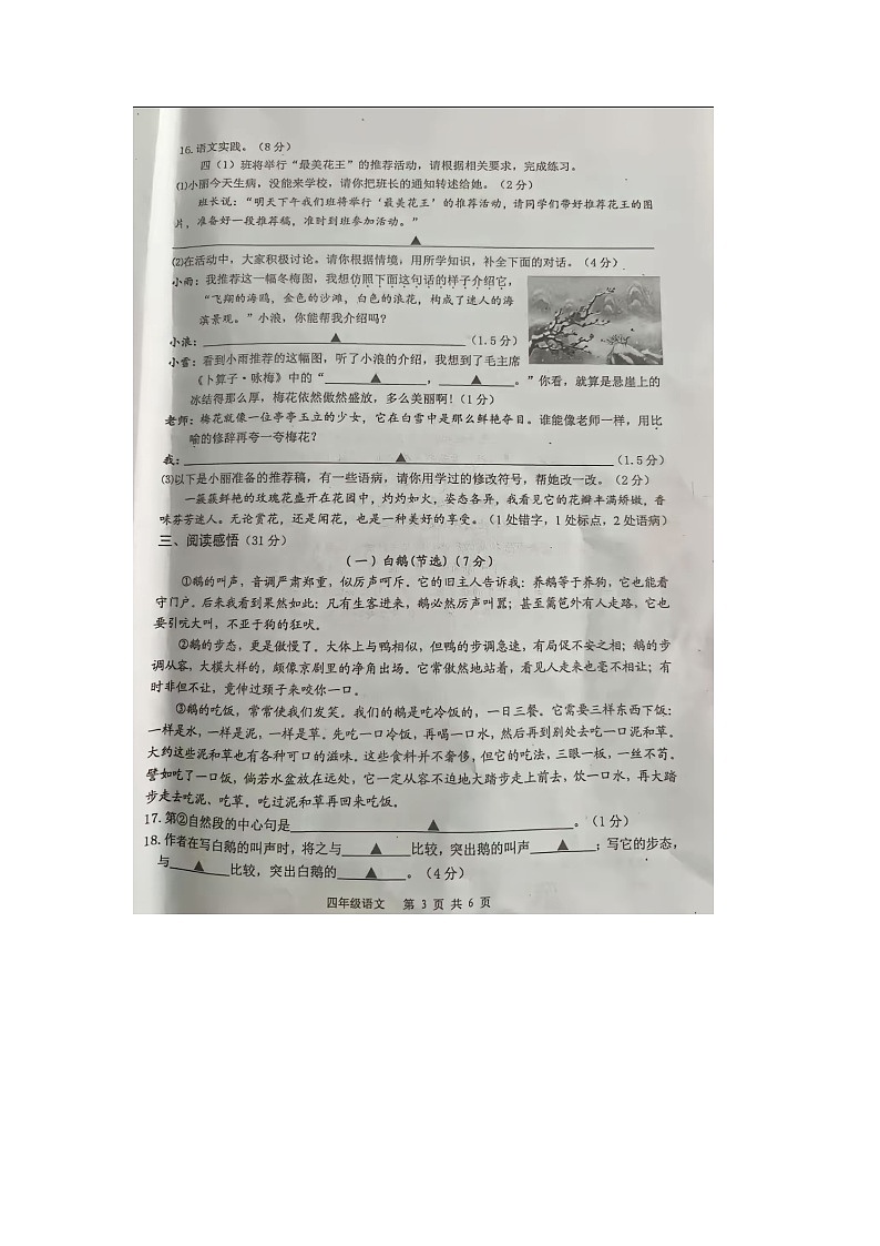江蘇省揚(yáng)州市高郵市2023-2024學(xué)年四年級下學(xué)期期末測試語文試題第3頁