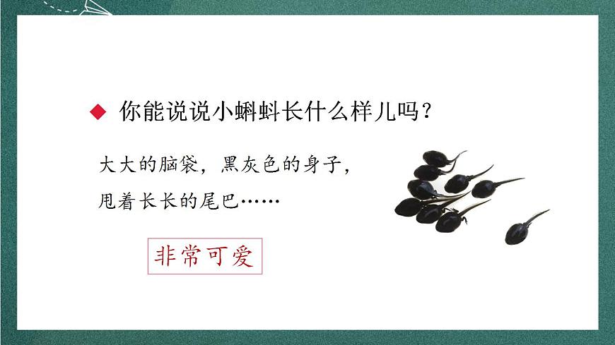 人教部編版語文二上1《小蝌蚪找媽媽》 第2課時 課件第6頁