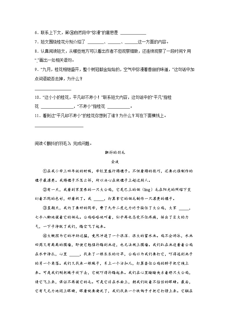 Day05:记叙文阅读深析-2024年三升四暑假作业语文全能训练营03