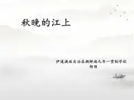 部编版小学语文四年级上册3秋晚的江上 课件