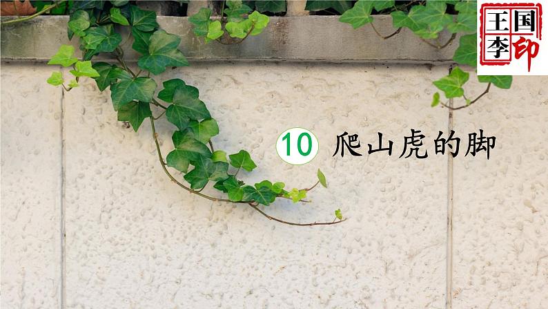 部编版小学语文四年级上册10爬山虎的脚 课件第3页