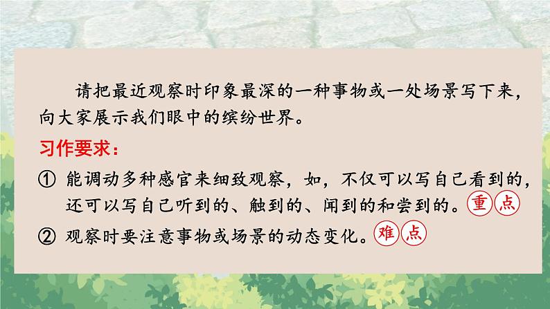 部编语文三年级上册同步作文 第五单元 我们眼中的缤纷世界 PPT课件第4页