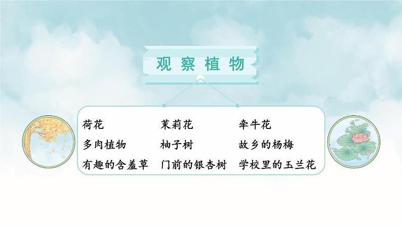 部编语文三年级上册同步作文 第五单元 我们眼中的缤纷世界 PPT课件第7页