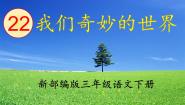 小学语文我们奇妙的世界课文配套ppt课件