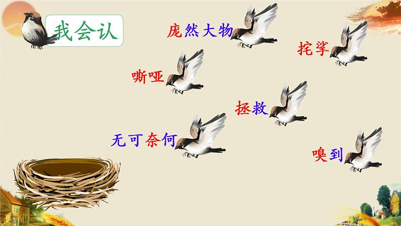 部编版小学语文四年级上册16麻雀 课件第6页