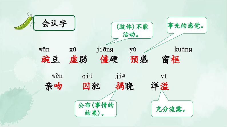 5.《一个豆荚里的五粒豆》(课件)-2024-2025学年统编版语文四年级上册06