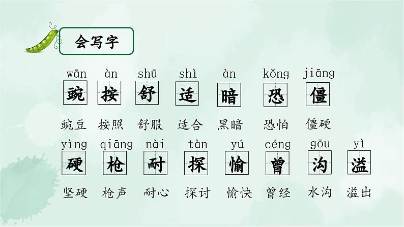 5.《一个豆荚里的五粒豆》(课件)-2024-2025学年统编版语文四年级上册07