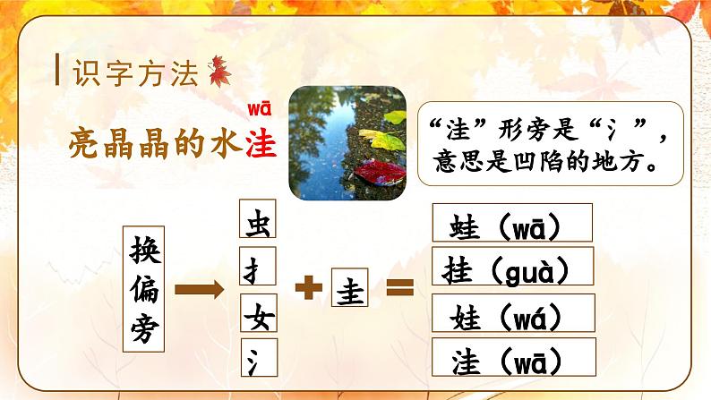 5.铺满金色巴掌的水泥道(课件)-2024-2025学年统编版语文三年级上册06