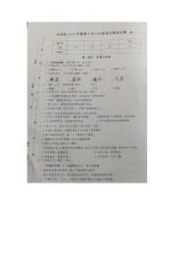 福建省泉州市安溪县2023-2024学年三年级下学期期末语文试题