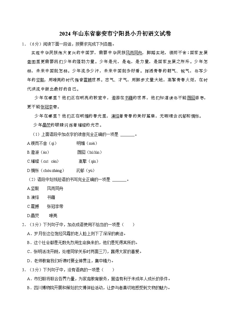 2024年山东省泰安市宁阳县小升初语文试卷第1页