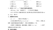 小学语文人教部编版五年级下册金字塔当堂检测题
