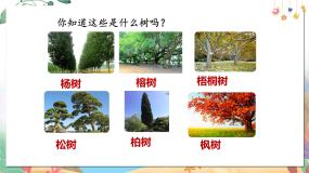 小学语文人教部编版二年级上册树之歌教学ppt课件
