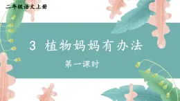 编版版语文二年级上册 3 植物妈妈有办法 第一课时 教学课件