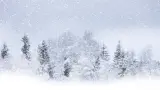 编版版语文二年级上册 21 雪孩子 第一课时 教学课件