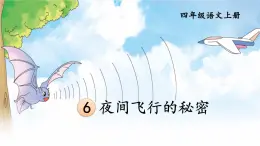 编版版语文四年级上册 6 夜间飞行的秘密 第二课时 同步课件