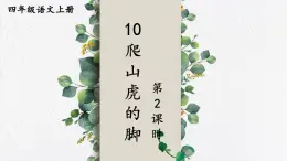 编版版语文四年级上册 10 爬山虎的脚 第二课时 同步课件