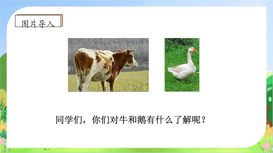 【新課標(biāo)】統(tǒng)編版語文四年級上冊-18. 牛和鵝（第1課時）（課件）第8頁