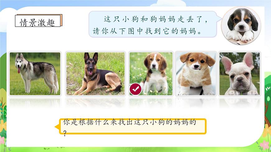 【新課標(biāo)】統(tǒng)編版語文二年級上冊-1. 小蝌蚪找媽媽(第1課時(shí))(課件)第8頁