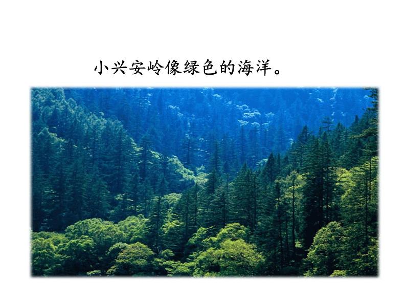 第20课《美丽的小兴安岭》ppt课件(含教案)2024-2025学年统编版语文三年级上册04