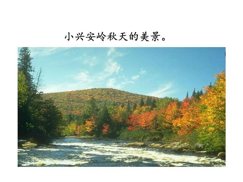 第20课《美丽的小兴安岭》ppt课件(含教案)2024-2025学年统编版语文三年级上册07