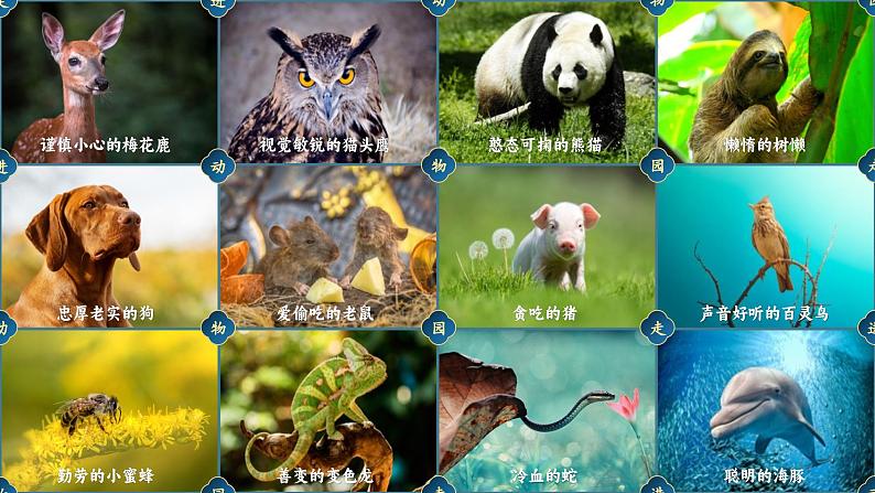 【任务群】部编版语文四上 《习作二:小小“动物园”》课件+教案+音视频素材+课文朗读 - 副本03