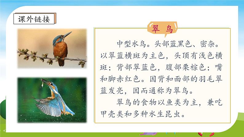 【教-学-评一体】统编版语文三年级上册-15. 搭船的鸟 两课时(课件+教案+学案+习题)08