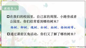 人教部编版二年级上册树之歌教案配套ppt课件