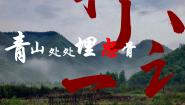 人教部编版五年级下册青山处处埋忠骨教案配套ppt课件