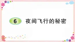 部编版语文四年级上册6 夜间飞行的秘密学案课件