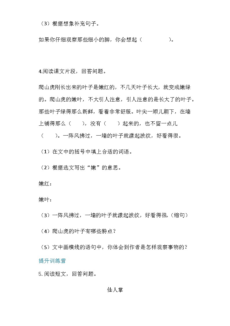 四年级上册语文-10爬山虎的脚 第2课时(人教部编版,含答案)【当堂达标题】02