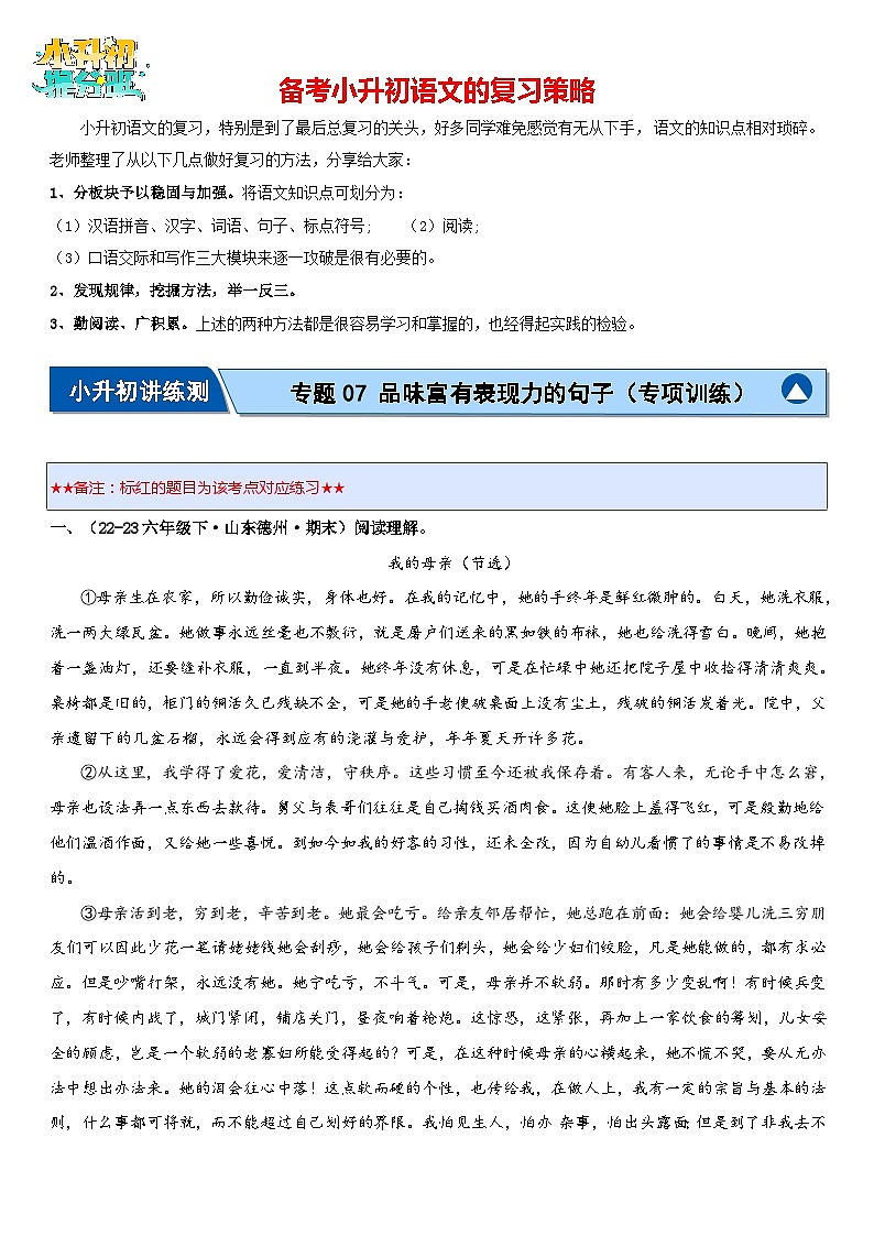 专题07 品味富有表现力的句子(专项训练)(原卷版)第1页