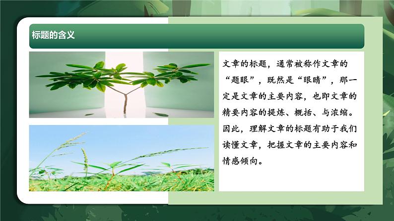 专题10 理解标题的含义(课件)-2024年小升初语文复习课件(统编版)第8页