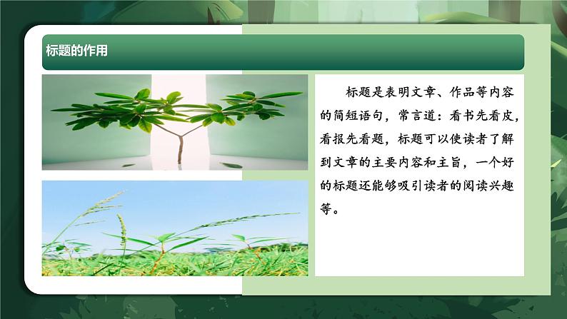 专题11 理解标题的作用(课件)-2024年小升初语文复习课件(统编版)08