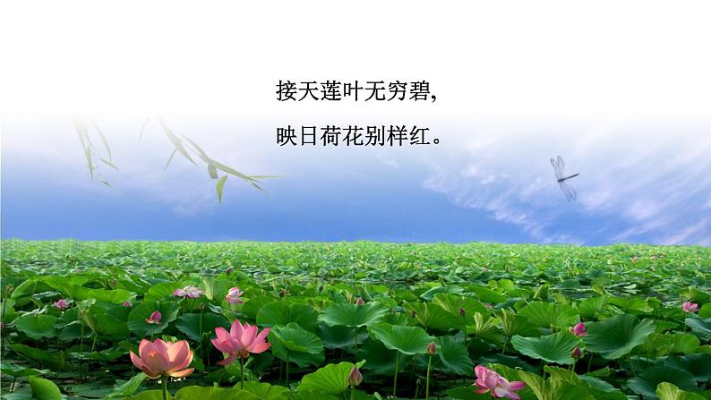 部编版三年级语文下册《荷花》课堂实录+课件+教案+音频03