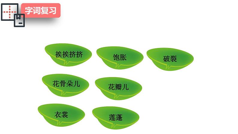 部编版三年级语文下册《荷花》课堂实录+课件+教案+音频04