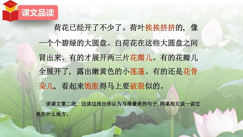 部编版三年级语文下册《荷花》课堂实录+课件+教案+音频06
