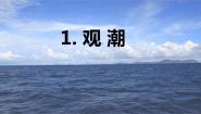 人教部编版四年级上册观潮多媒体教学课件ppt