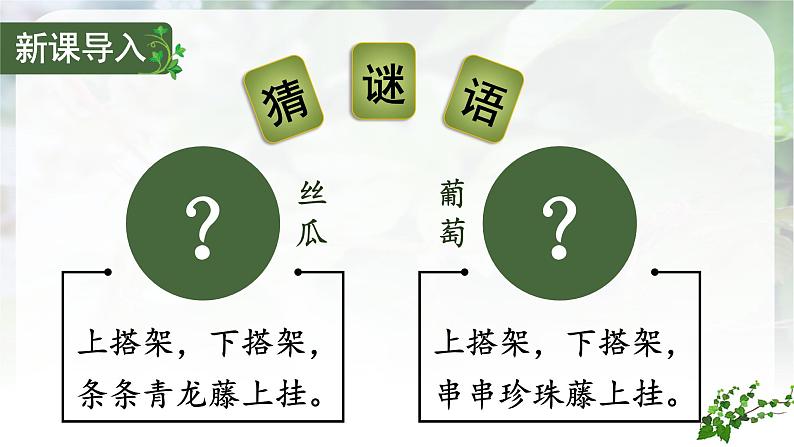 (教学课件)10.《爬山虎的脚》第1页