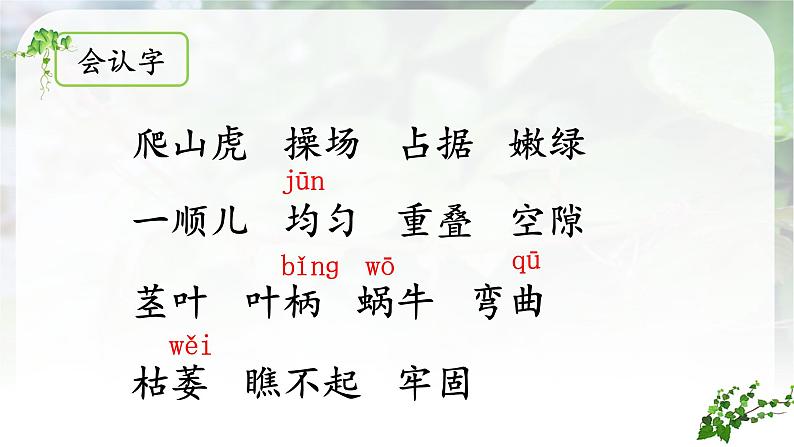 (教学课件)10.《爬山虎的脚》第5页